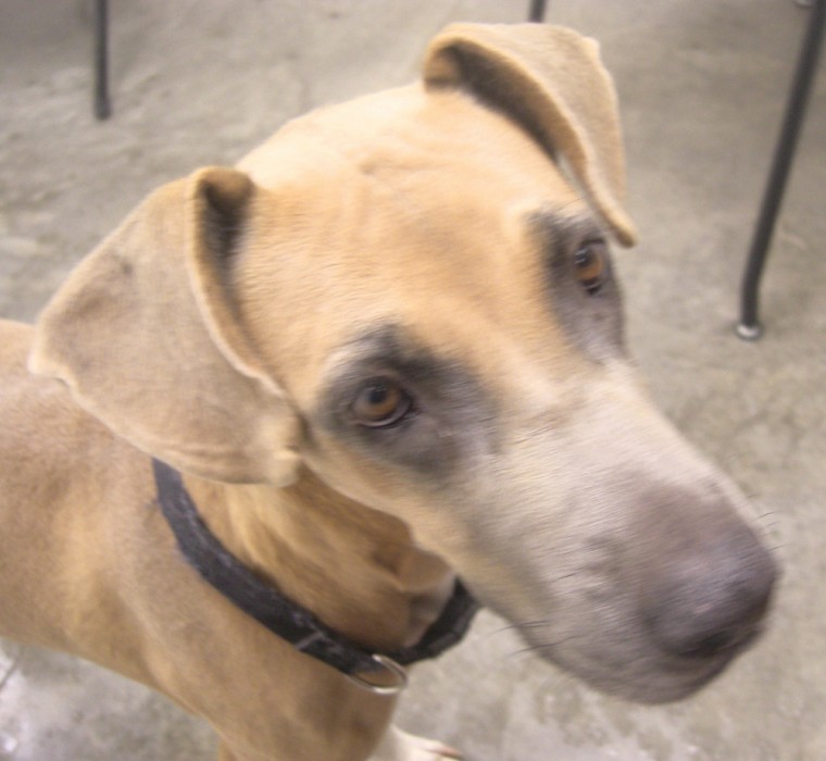 Someone to love: Xena